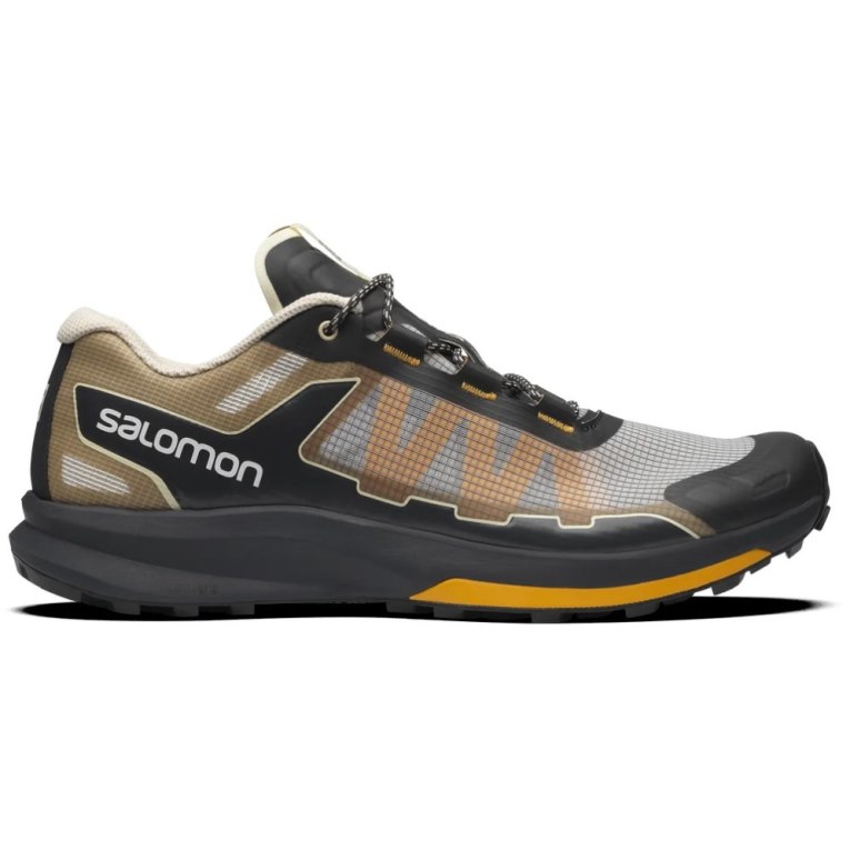 Black / Grey / Brown Salomon Ultra Raid Men\'s Sneakers | PH 09426G